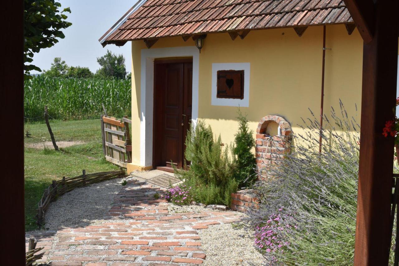 Country House Ivancan Molve 외부 사진