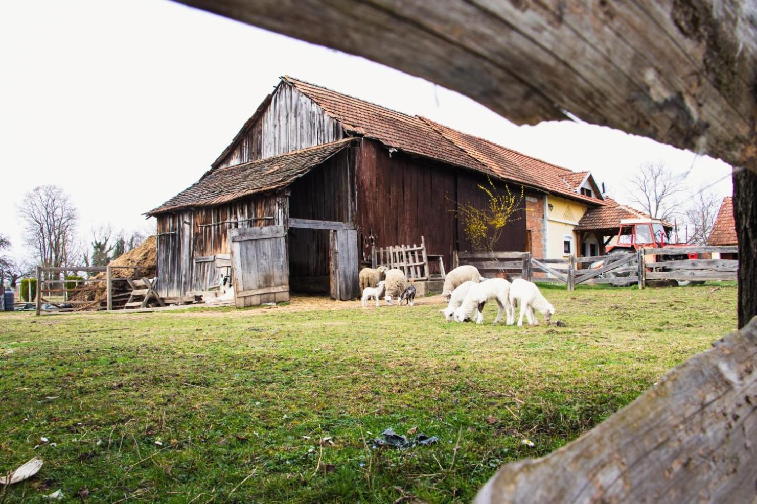 Country House Ivancan Molve 외부 사진
