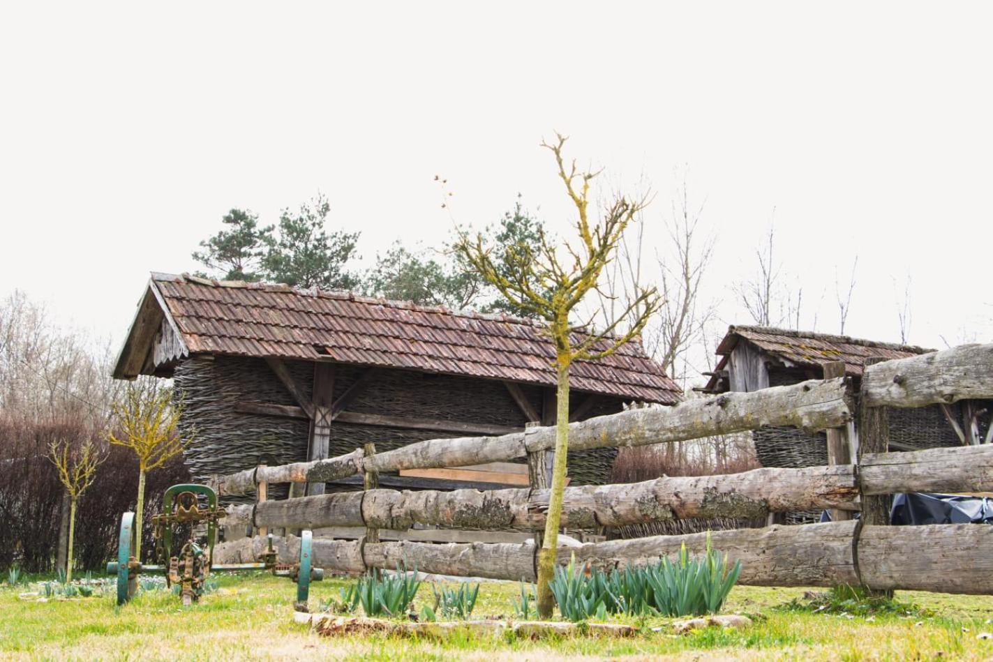 Country House Ivancan Molve 외부 사진