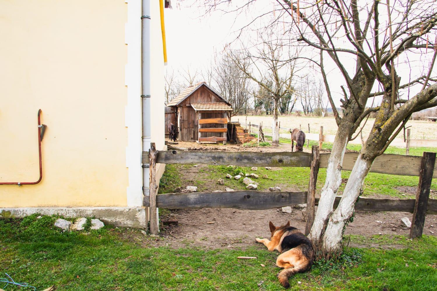 Country House Ivancan Molve 외부 사진